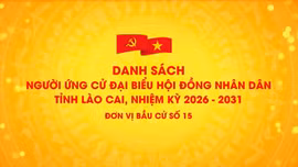 Danh sách chính thức những người ứng cử đại biểu HĐND tỉnh Lào Cai, nhiệm kỳ 2026 - 2031 (đơn vị bầu cử số 15)