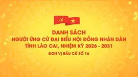 Danh sách chính thức những người ứng cử đại biểu HĐND tỉnh Lào Cai, nhiệm kỳ 2026 - 2031 (đơn vị bầu cử số 16)
