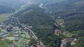 Xã Phong Hải hướng tới giảm nghèo từ phát triển kinh tế rừng và dưới tán rừng