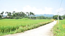 Xây dựng nông thôn mới thực chất, tạo diện mạo mới cho khu vực nông thôn Lào Cai.