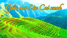 Giấc mơ Lào Cai xanh