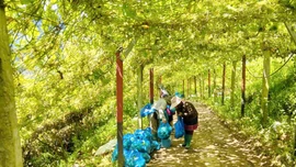 Hợp tác xã - “bệ đỡ” giúp người dân giảm nghèo bền vững