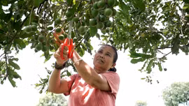 Thận trọng để bền vững