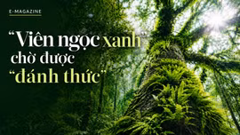 “Viên ngọc xanh” chờ được “đánh thức” 