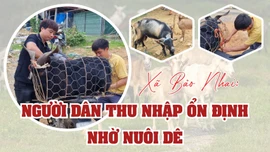 Xã Bảo Nhai: Người dân thu nhập ổn định nhờ nuôi dê