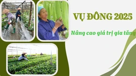 Vụ đông 2025: Nâng cao giá trị gia tăng