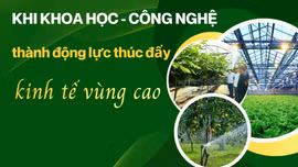Khi khoa học - công nghệ thành động lực thúc đẩy kinh tế vùng cao