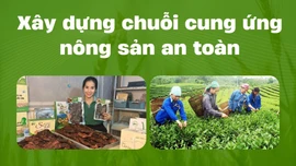 Xây dựng chuỗi cung ứng nông sản an toàn