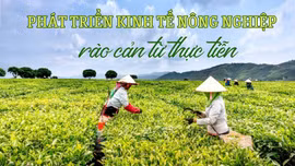 Rào cản từ thực tiễn