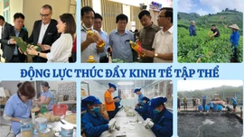 Động lực thúc đẩy kinh tế tập thể