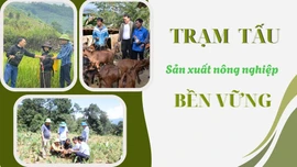 Trạm Tấu sản xuất nông nghiệp bền vững