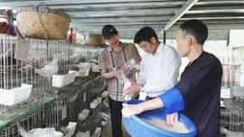 Lào Cai đạt nhiều kết quả tích cực trong công tác giảm nghèo giai đoạn 2021 - 2025