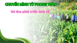 Chuyển mình từ phong trào thi đua phát triển kinh tế 