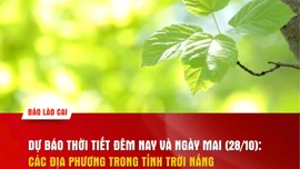 Dự báo thời tiết đêm nay và ngày mai (28/10)