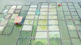 Xã Tả Van yêu cầu di chuyển lồng bè nuôi cá tại hồ Séo Mý Tỷ trước ngày 30/3