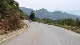 Đường mới mở lối cho cây quế Bảo Nhai vươn xa