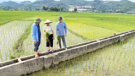 Phân cấp quản lý: Nâng hiệu quả khai thác công trình thủy lợi