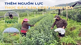 Thêm nguồn lực thúc đẩy sản xuất hàng hóa