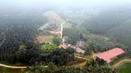  Quy Mông phát triển chăn nuôi theo hướng xanh, bền vững 