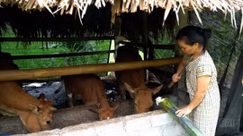 Xã Yên Thành hỗ trợ giảm nghèo “trúng đối tượng, đúng nhu cầu”