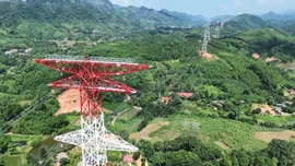 Bảo đảm tốt tiến độ đường dây 500kV qua Lào Cai