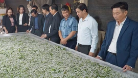 Nông dân Trấn Yên phát huy vai trò chủ thể trong phát kinh tế nông thôn