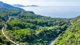 Đường sắt đã chạy lại các đoàn tàu sau ảnh hưởng của bão số 10