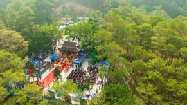 Lễ hội World Tea Fest 2025 - Tạo đà phát triển ngành trà Việt Nam ra thế giới