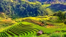 10 tháng năm 2025, Lào Cai đón 9,4 triệu lượt khách du lịch