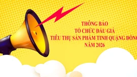 Thông báo tổ chức đấu giá tiêu thụ sản phẩm tinh quặng đồng năm 2026