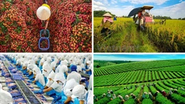 21 lĩnh vực giám định tư pháp trong nông nghiệp và môi trường