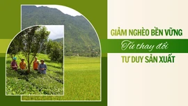 Giảm nghèo bền vững từ thay đổi tư duy sản xuất