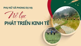 Phụ nữ xã Phong Dụ Hạ nỗ lực phát triển kinh tế