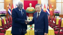 Tổng Bí thư Tô Lâm tiếp Chủ tịch Quốc hội Cuba