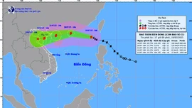 Thủ tướng chỉ đạo tập trung ứng phó với bão số 3 năm 2025