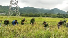 Khắc ghi lời dạy thứ tư