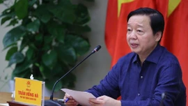 Ngăn dịch tả lợn châu Phi: Kiện toàn lực lượng thú y ở cơ sở, xây dựng hướng dẫn phòng dịch mới