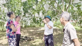 Nhịp sống mới ở Khe Nước