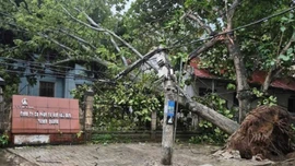 Khuyến cáo bảo đảm an toàn điện trong mùa mưa bão