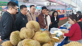 Cơ hội lớn cho nông sản Việt xuất khẩu 