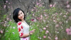 Lịch nghỉ Tết Dương lịch 2026