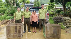 Lào Cai vận động người dân giao nộp 2 cá thể khỉ cho Trung tâm Du lịch và Bảo tồn sinh vật Hoàng Liên
