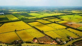 Chính phủ thông qua nội dung dự thảo về một số cơ chế, chính sách tháo gỡ khó khăn, vướng mắc trong thi hành Luật Đất đai