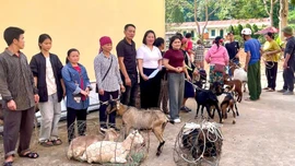 Ý nghĩa chương trình Trao yêu thương - Gieo mầm thiện nguyện tại xã Nghĩa Đô
