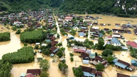 Cộng đồng quốc tế đã hỗ trợ Việt Nam gần 16 triệu USD khắc phục hậu quả bão lũ