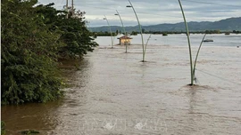 Thiên tai khiến 305 người chết và mất tích, kinh tế bị thiệt hại khoảng 69.000 tỷ đồng