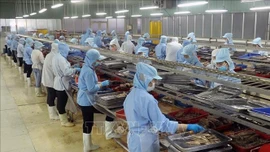 Thủ tướng Chính phủ chỉ đạo thực hiện các nhiệm vụ thúc đẩy tăng trưởng kinh tế