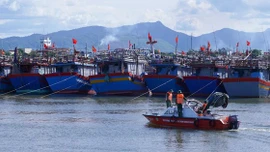 Bộ Y tế: Mỗi bệnh viện chuẩn bị 2 đội cấp cứu lưu động để ứng phó kịp thời với bão số 5