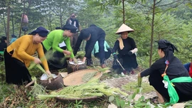 Ngày 04/10/2025 sẽ diễn ra Lễ hội Cốm xã Nghĩa Đô năm 2025