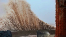 Dự báo năm nay còn 8-11 cơn bão trên Biển Đông